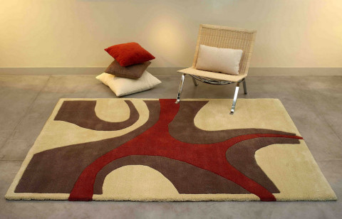 carpet4